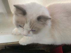 -猫遇摄影工作室