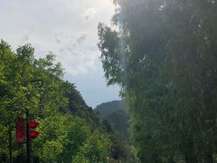 -王顺山国家森林公园
