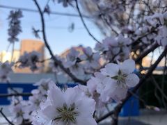 -乌鲁木齐市第二十三中学