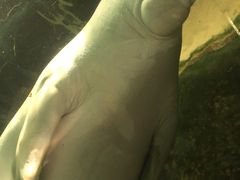 -悉尼海洋生物水族馆