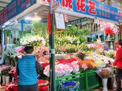 -朝来春花卉市场