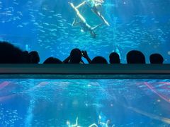 -海合安成都极地海洋公园