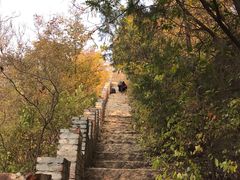 -云岫谷自然风景区