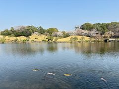 -水前寺成趣园