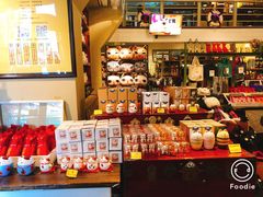 -猫咪博物馆(顶澳仔猫街店)