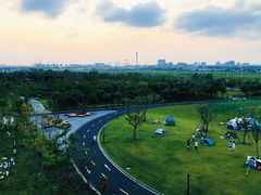 -春花秋色城市公园