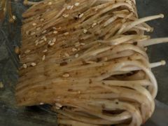 烧金针菇-大档(荔湾店)