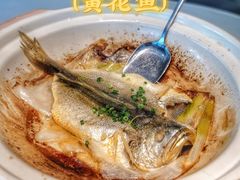 砂锅黄鱼-鱼乐轩·俄罗斯海鲜直供餐厅(群力店)