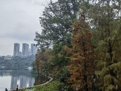-重庆彩云湖湿地公园