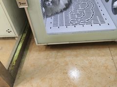 -沐沐家宠物(成寿寺店)