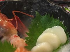 -左舞日本料理