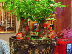 -旺达·福州菜(正大广场店)