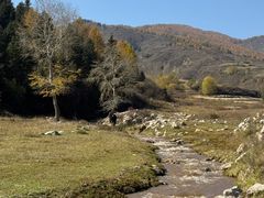 -芦芽山旅游度假区