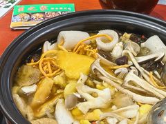-菌之家野生菌火锅