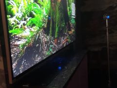 -欢乐迪KTV(观音桥未来国际店)