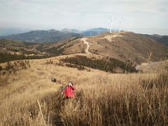 -东白山