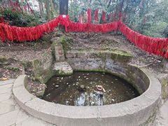 -青城山