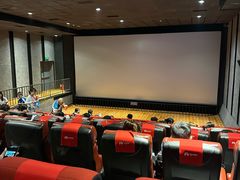 -华美国际影城(旧宫永辉店)