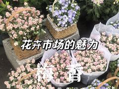 -三圣花乡旅游区