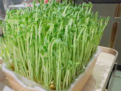 -海底捞火锅(漫广场店)