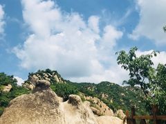 -大岭沟猕猴桃谷风景区