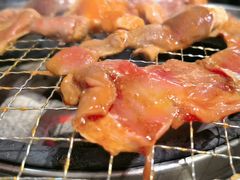 -四斤烤肉(东戴河孟家店)