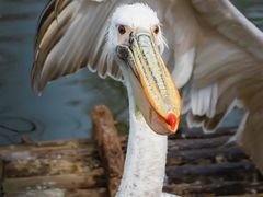 -济南野生动物世界