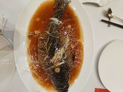 罾蹦鲤鱼-津菜典藏(中北镇店)