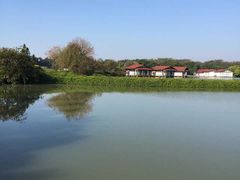 -海上田园