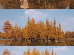 -白鹭湾湿地公园