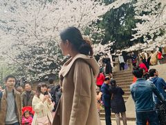 -武汉大学-樱园