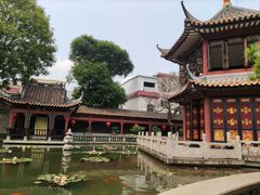 -碧江金楼
