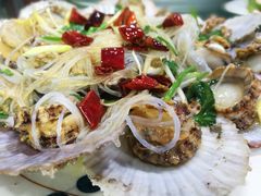 油泼扇贝-来之顺海鲜菜馆·青岛菜(栈桥店)