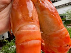 -蟹村草堂·苏式园林人文农家·大闸蟹