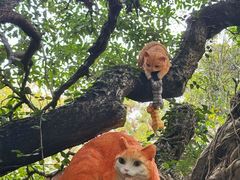 -广州兰圃