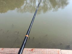 -新江湾城公园
