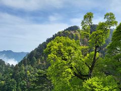 -华山风景名胜区
