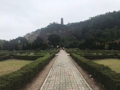-南沙蒲洲花园
