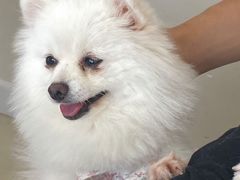 -怪兽屋·羊驼·猫咖·狗咖(俊华广场店)