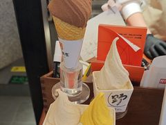 -野人先生Gelato(上海长宁龙之梦店)