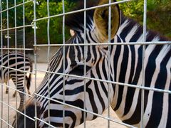 -泉州海丝野生动物世界