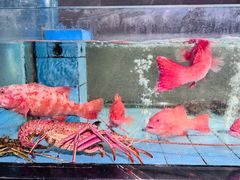 -曼格纳·曼芯馆(杨浦店)