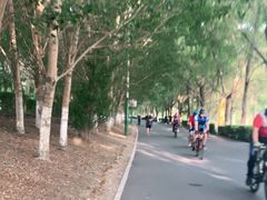 -长白岛森林公园