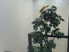 -牙博士口腔品牌连锁(城区店)