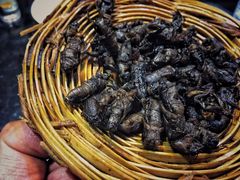 -昆虫窝子·特色云南菜(拓东路总店)