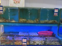 -江南村海鲜馆(洞头店)