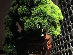 -鹤祥宫·影院足道·SPA连锁(苹果园店)