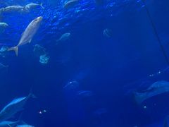 -华夏文旅西安度假区