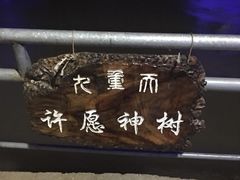 -英西峰林九重天景区