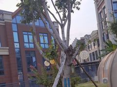 -悦见花开·花园里的火锅·露营·下午茶